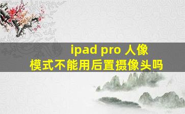 ipad pro 人像模式不能用后置摄像头吗